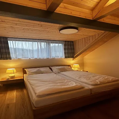 In Near Skiresort Cerna Hora Villa