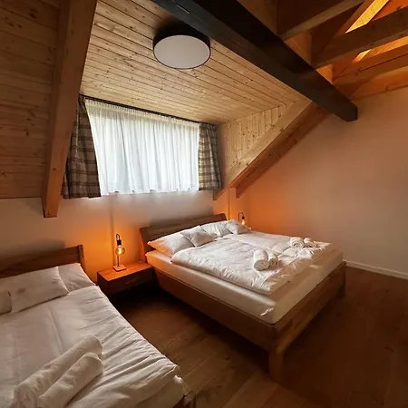 Villa In Near Skiresort Cerna Hora *