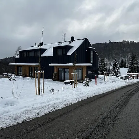 Villa In Near Skiresort Cerna Hora