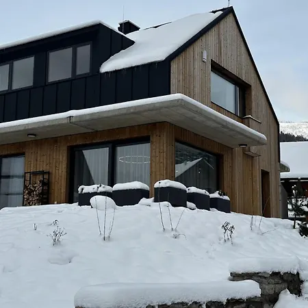 In Near Skiresort Cerna Hora Villa